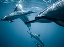 人民视评：U23男足闯进决赛，值得欢呼，也需要冷静